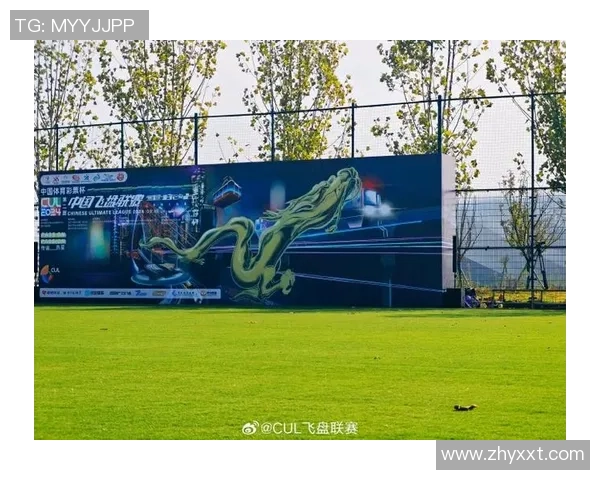 上海飞盘队与南京飞盘队赛后战术分析与总结探讨